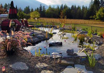 Larger water feature with aquatic plants & bell fountain.