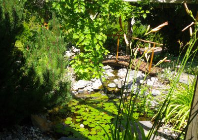 Small pond full of thriving lilies & quaint wood bridge.