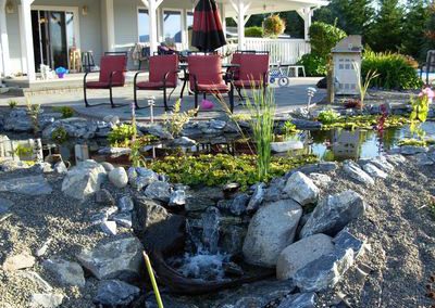 Waterfall entering the long stream down to pondless basin.